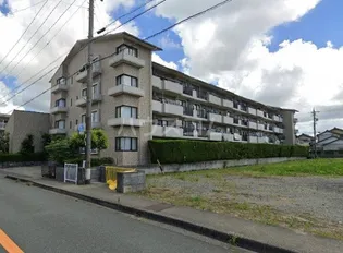 ハイタウン初生の画像