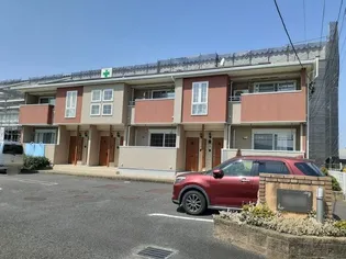 プラシードBの画像