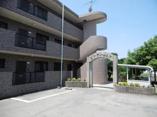 エバーグリーンA Tの画像