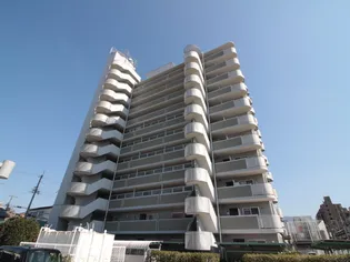 ベイリーブスの画像