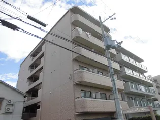 カサミラの画像