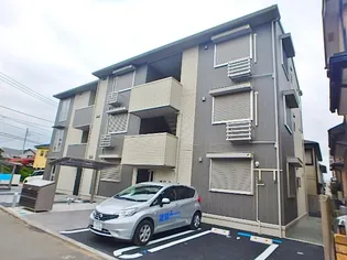 オリーブの画像