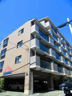 リラ姫里の画像