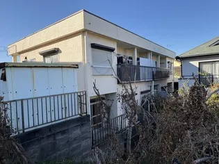 プルニエアカネの画像