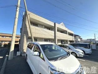 サンシャイン コーダの画像