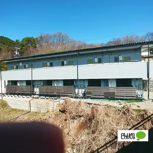 ソフィアMの画像