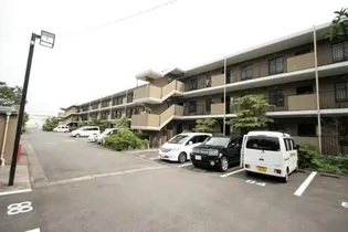STAGE21の画像