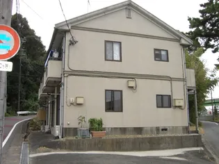 ダンディライオンの画像