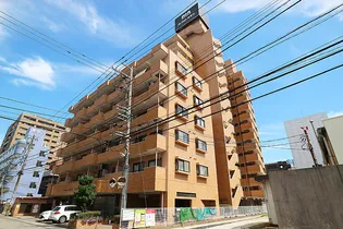ダイアパレス北安江【8階】の外観