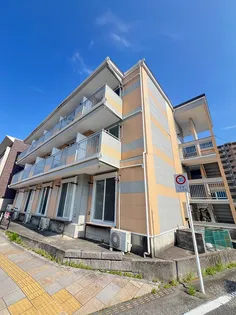 ベルデハシモトの画像