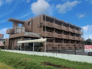 ベルカルムS II【3階】の外観