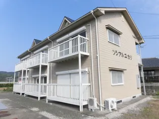 ソシアルユカリの画像