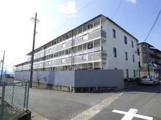 ネオグランドール伏見【2階】の外観