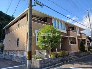 レフィーノAの画像