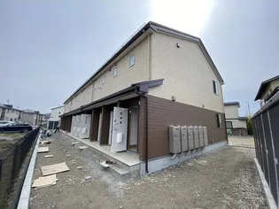 GRACEFUL VIの画像