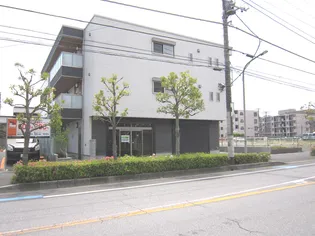SHUSHU NOVEの画像