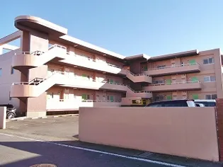 ベルハウスの画像