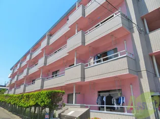 レジェール・ロゼ泉【1階】の外観