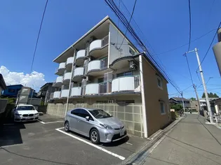 サンメリーナの画像