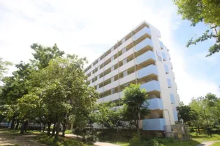 UR南港しらなみ【6階】の外観