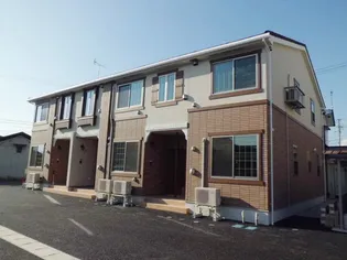 プラシードAの画像