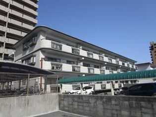 セーヌ一番町の画像