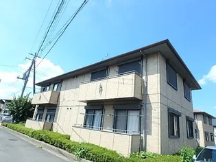 セレニティグレイスEの画像