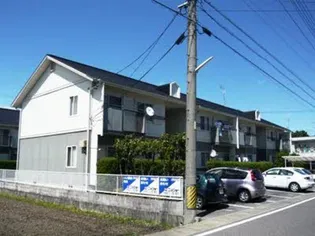 グリーンポケットの画像