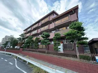 エクセレント丸太の画像