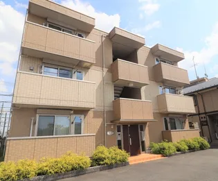 フリージアの画像