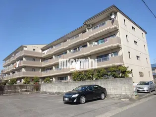 ベルフォーレ本郷の画像