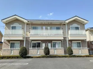 サニー Mの画像