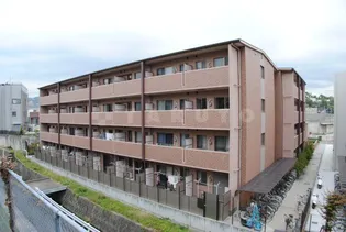 石塚ハイム【1階】の外観