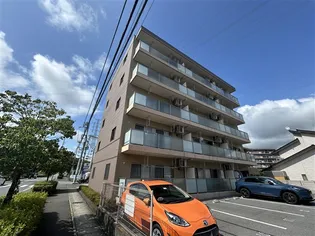 フラン シエロの画像