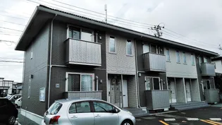 未来樹の画像