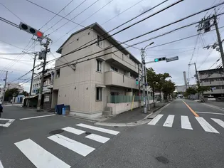 ハナミズキの画像