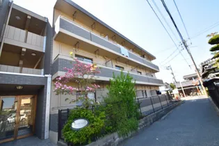 プリムローズの画像