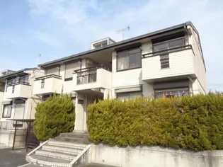 菩提樹ハイツA【2階】の外観