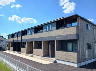 ハナミズキ Aの画像