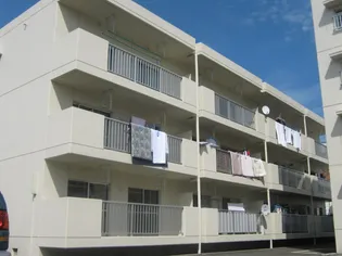 第二南陽コーポ【2階】の外観