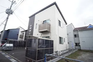 ダイアンサスの画像