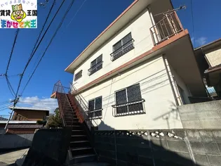 PEACE MAIOSON 白木の画像