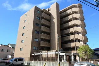 アルブルKNの画像