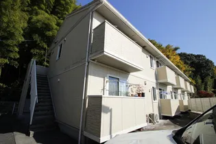 ひまわりの画像