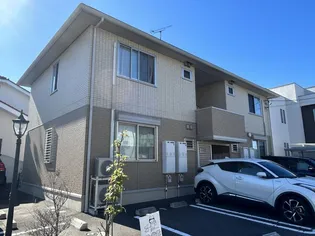 デカルトの画像