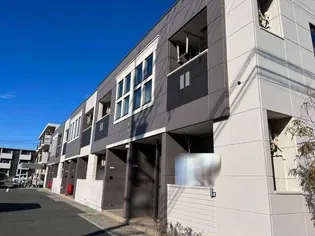 ルピナスの画像