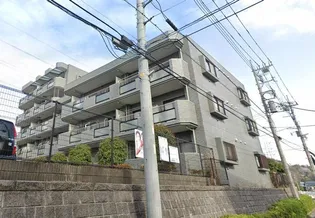 リュミエールの画像