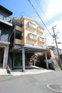 チェリー ブロッサムの画像