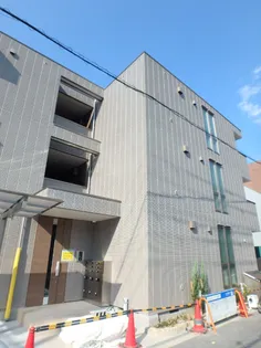コスモの画像