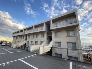 第2ビューハイツ【3階】の外観